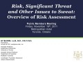 Risk, Significant Threat & Other Issues to Sweat: Overview of Risk Assessment